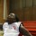 Waltiea ROLLE